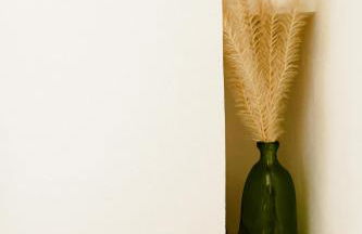 Ca'SaLentu - La Corte dei Colori - Foto 28