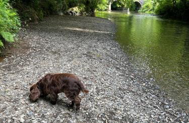 The old Manor House - Foto 17