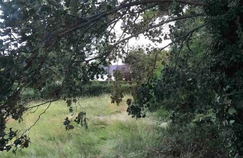 Priory Meadow Cottage - Foto 23