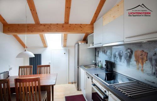 Apartment LICHTENSTERN - Foto 12