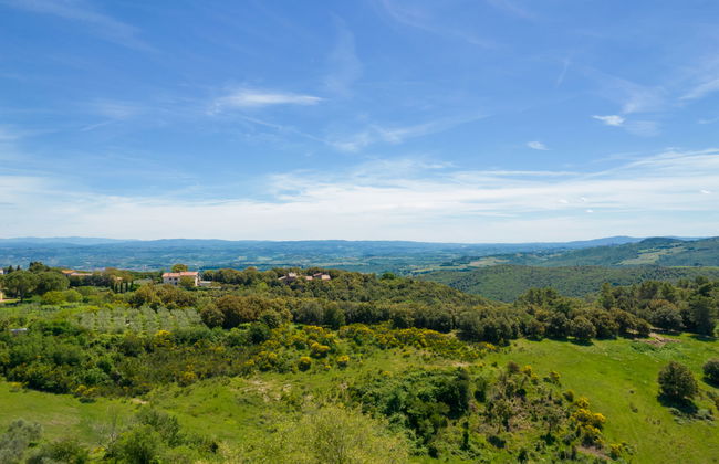 La Colonica - Foto 46