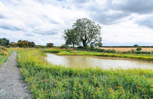 Veiko - Mayflower Meadow - Foto 20