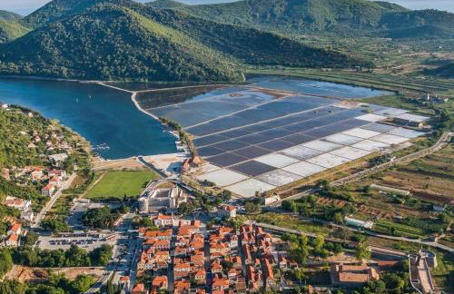 Koko's home - Photo 53