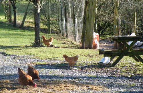 Burton Farmhouse - Foto 22