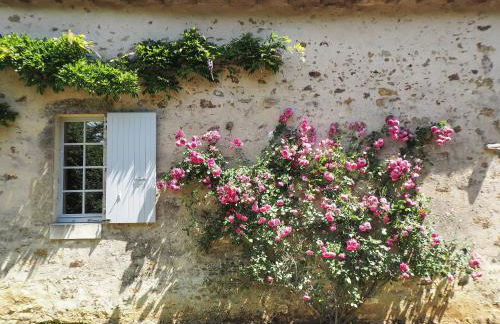 Logis La Tour - Gîte Orangerie - Foto 26