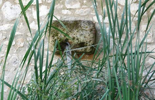 Coin de paradis en Provence - Foto 20