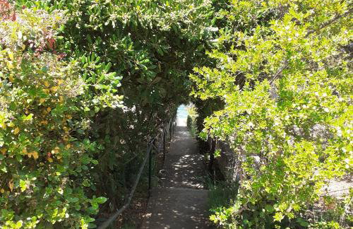 Apartment Vanda - Photo 40