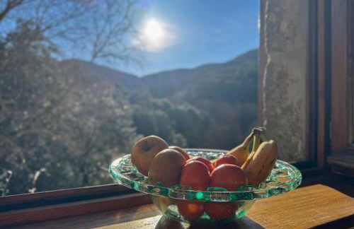 La Grossille Mas avec piscine - Foto 16