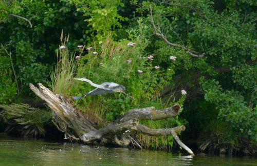 Ferienhaus Liwi - Foto 25