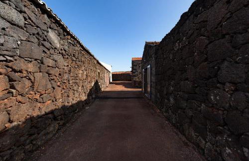 Adega Menezes - Photo 11