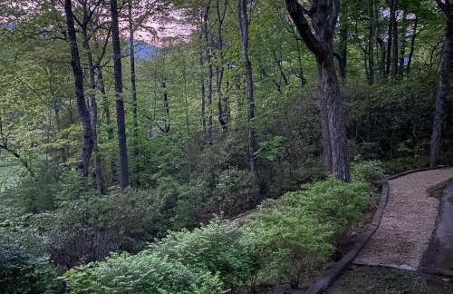 Dancing Bear Cabin - Foto 33