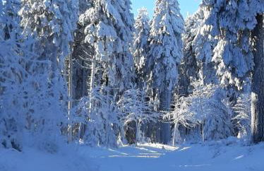 Ferienwohnung Waldblick Oberhof - Foto 17