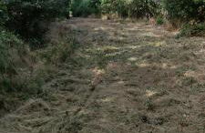 Rivière Retreat - Foto 40