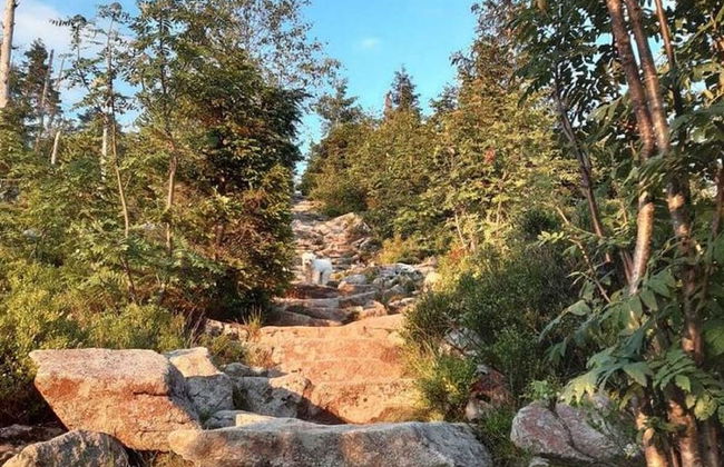 Welcoming Chalet Near Forest in Rohrnbach - Foto 62