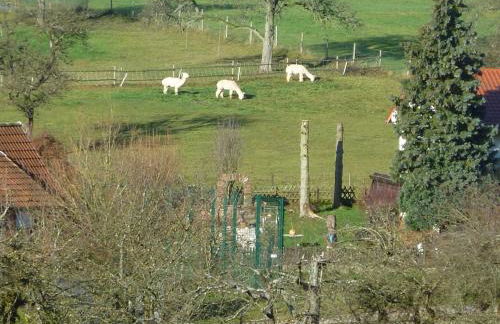 Ferienwohnungen Am Limespfad - Photo 21