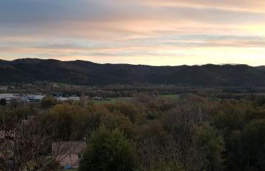 Le pommier - Foto 25