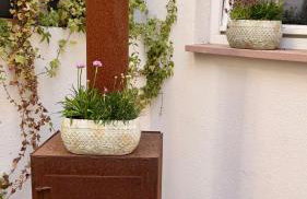 Ferienwohnung Heppenheim- Wohnung "Altstadt" mit Terrasse Das schiefe Haus - Photo 24