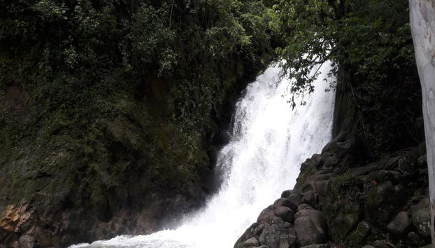 Coatepec y Xico: los pueblos mágicos - Foto 3