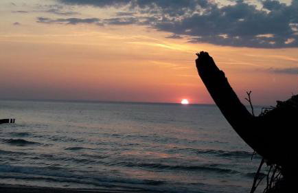 Domki LIDO Wicie - Foto 22