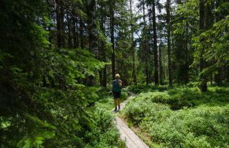 StayZen Holz & Hirsch Deluxe Hideaway zentral mit Parkplatz - Foto 43