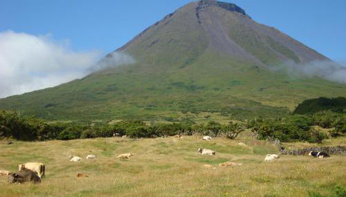 Casa da Abrótea - Photo 3