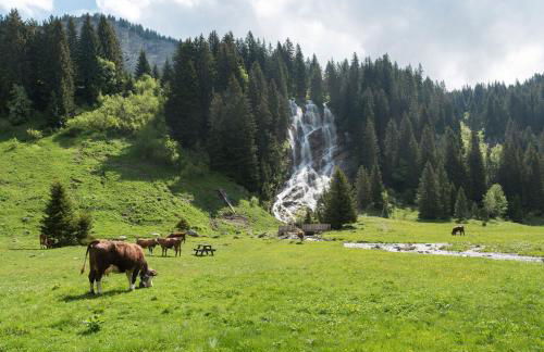 Edelweiss, Studio 5 pers, balcon sud est, vue sur les montagnes - Foto 30