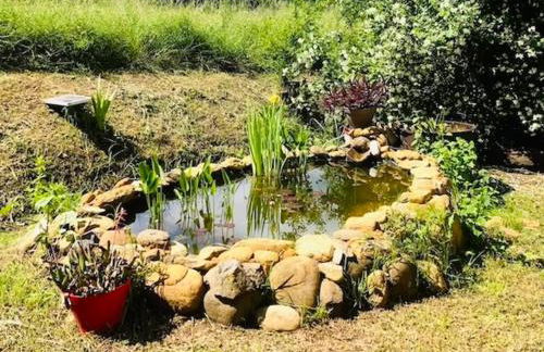 Cascina Baracico, circondati dalla natura - Foto 57