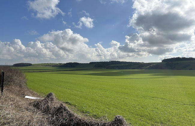 Romantic King Bed Countryside Couples Cabin - Photo 11