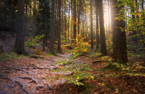 Villa Sonnenblick - Foto 63