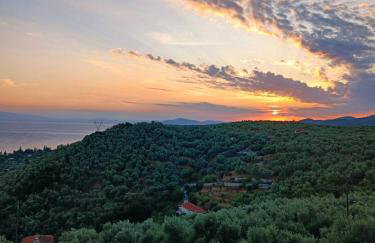 Panoraea Villa & Spa Pelion - Foto 32