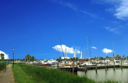 4 Pers House Cecil With own Fishing Spot on a Dutch Chanel - Foto 32