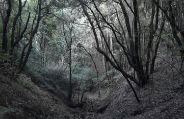 Marcos y Tota - Foto 38