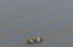 Apê de Mainha - Foto 50