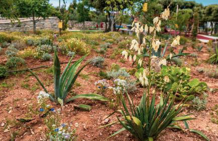 Luxury Apartments White Villa Violeta - Photo 16