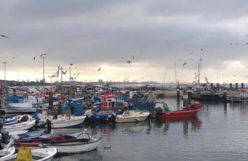 Moinho do Marco - Foto 60