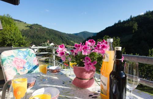 Steiert Panorama Apartments Todtnau - Foto 28