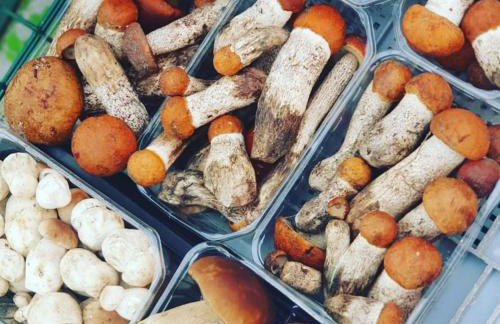 Domek Franianiesulice - Foto 52