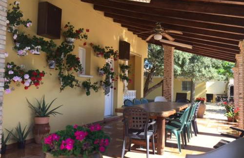 Villa Rural Paquete - Foto 14