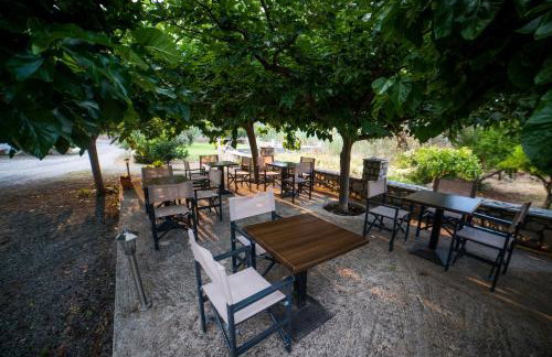 Manto Studios - Photo 34