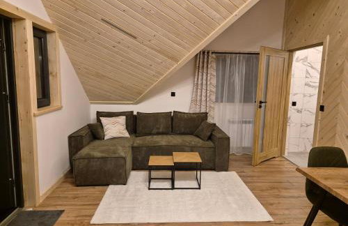 Apartament z prywatną wanną z hydromasażem - U Parów - Foto 66