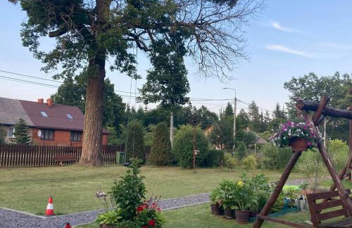 Pod Dębem - Foto 12