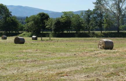 Agriturismo Casa Agricola Rossi Appartamenti in Casentino - Foto 43