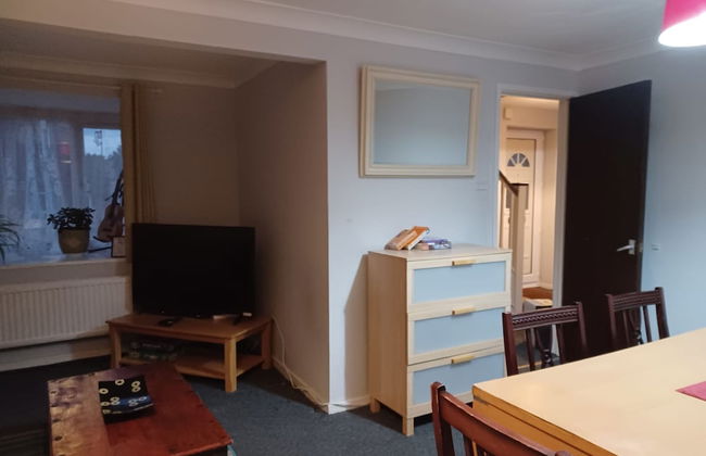 Huku Kwetu - Fieldfare Green - Foto 19