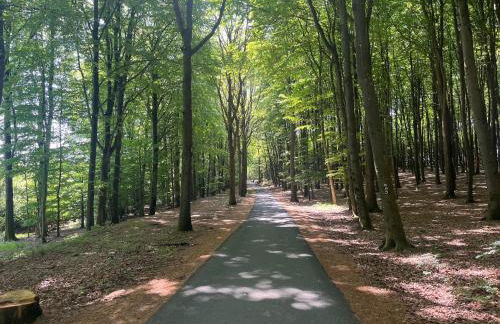 Scheppes Auszeit - Foto 9