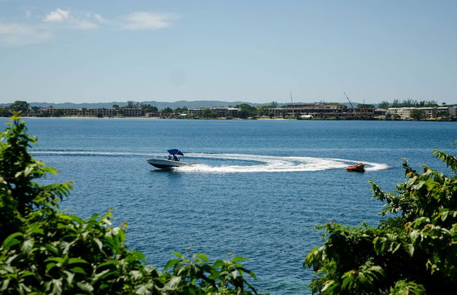 Seas the Day Sanctuary Little Bay - Photo 24