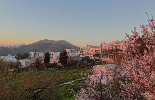 Villa Fenia - Foto 77