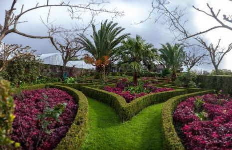 Quinta das Bolas - Photo 6