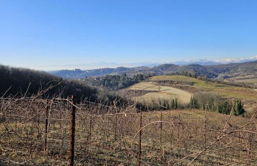 La casa rossa nel Monferrato a Moncucco Torinese - Foto 4