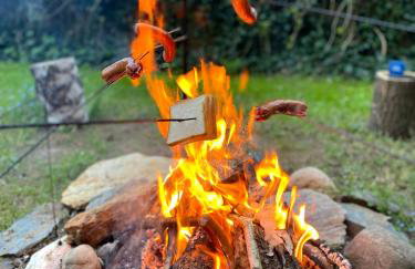 DOM NA KASZUBACH, SAUNA i BALIA - Foto 39