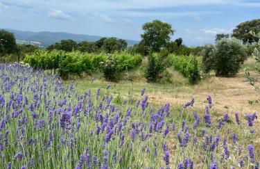 Tenuta Le Mandorlaie, Agriturismo in Scansano - Foto 22